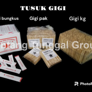 Tusuk Gigi